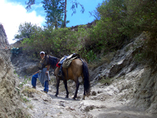 Ecuador-Haciendas-Otavalo Ride